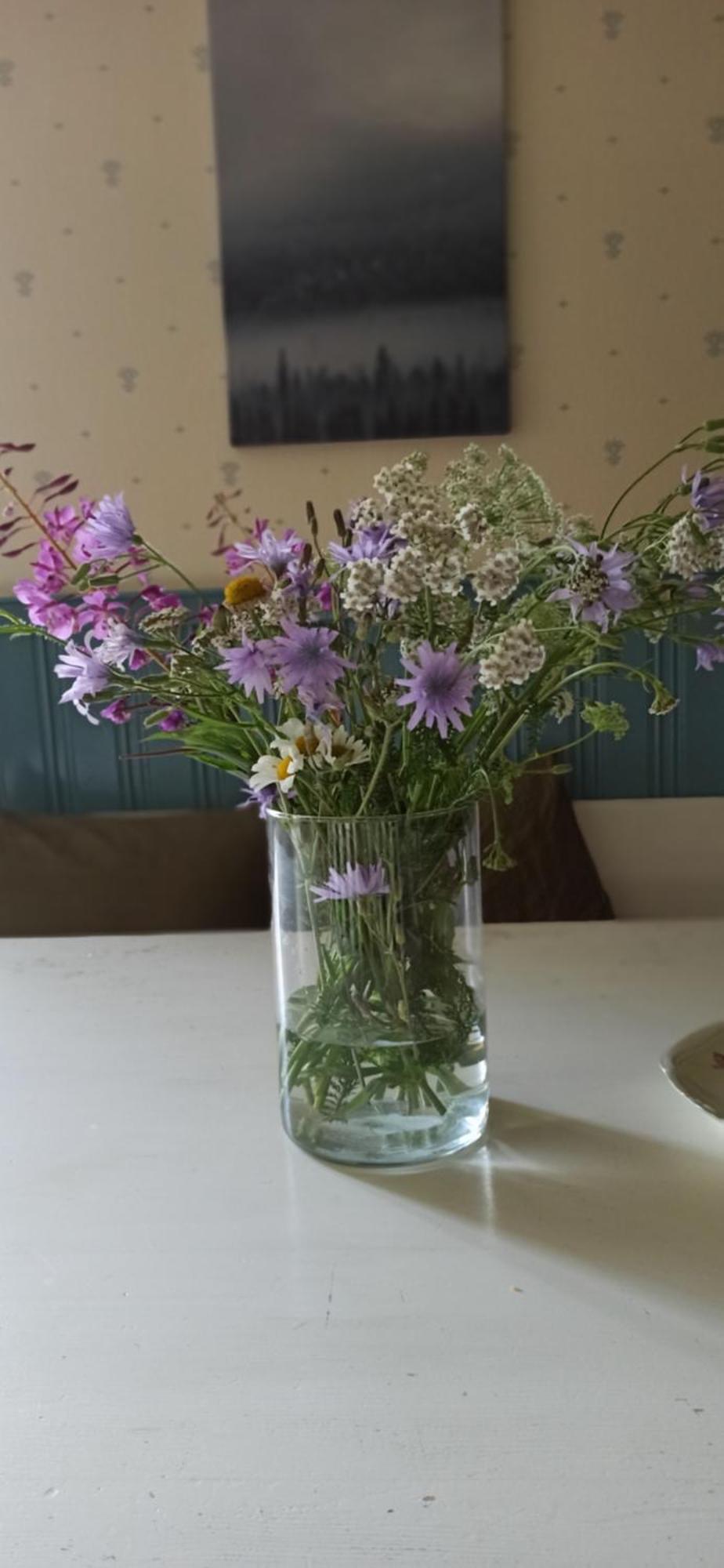 Sunnemoslantliv B&B Buitenkant foto
